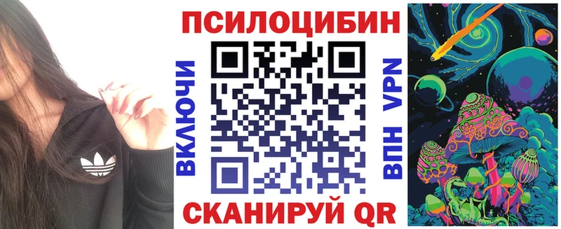 Купить где  Петровск  Псилоцибиновые грибы прущие грибы 